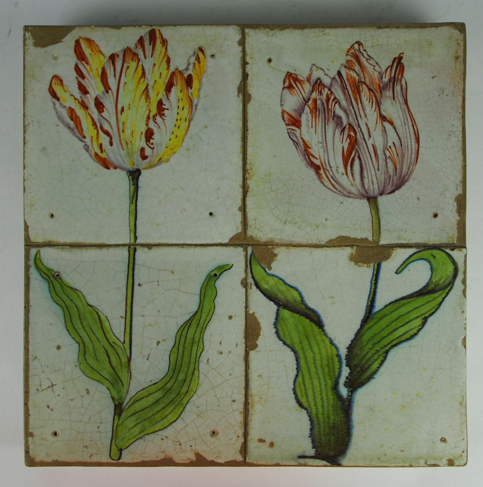 tegelveld met twee tulpen