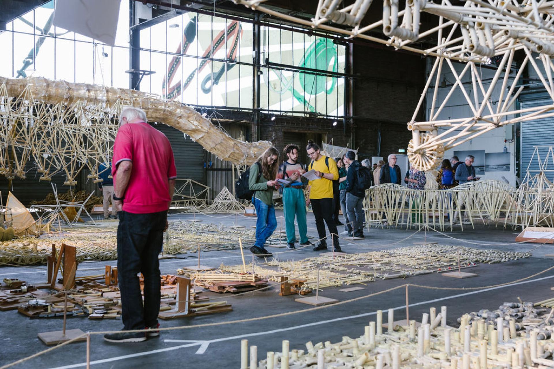 Ontdek het Strandbeesten Mortuarium - Museum Prinsenhof Delft